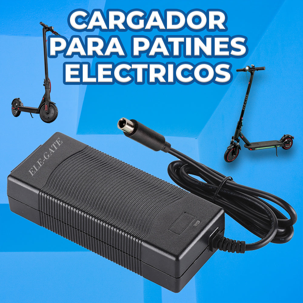 Cargador Patineta Electrica 42V 1.5AScooter Smart Balance