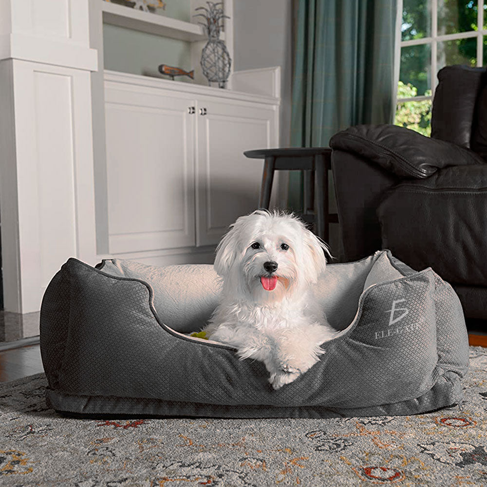 Cama para Mascotas – Alivia el Dolor y la Ansiedad