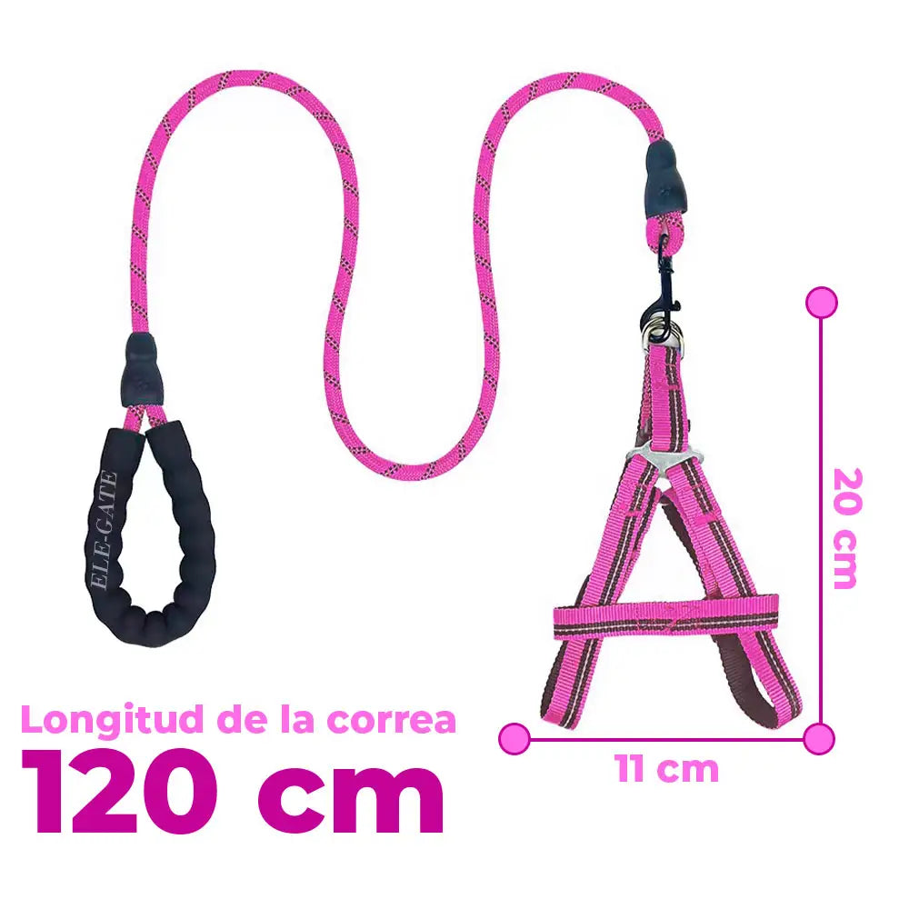 Conjunto de Arnés y Correa para Perros - Comodidad y Seguridad