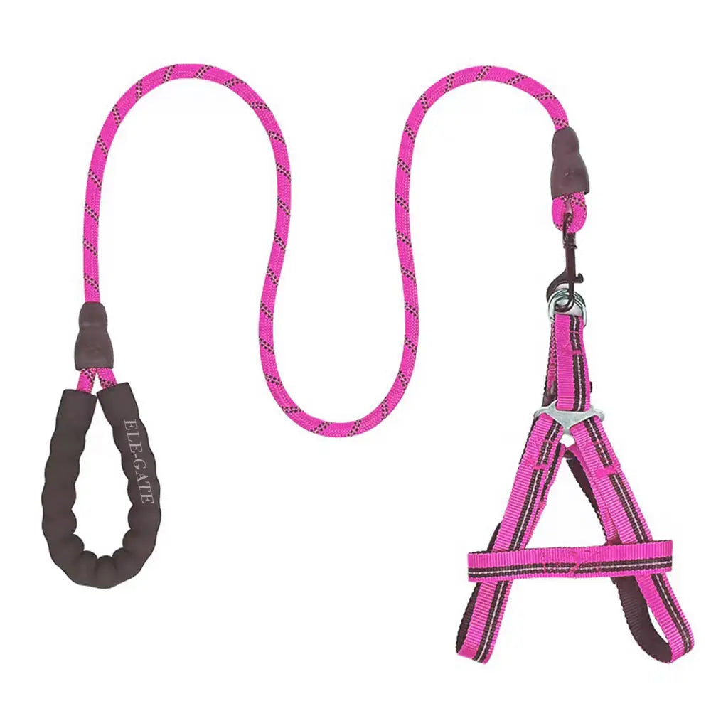 Conjunto de Arnés y Correa para Perros - Comodidad y Seguridad