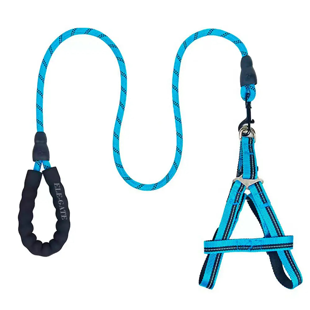 Kit de Arnés y Correa para Perros. Mascotas medianas