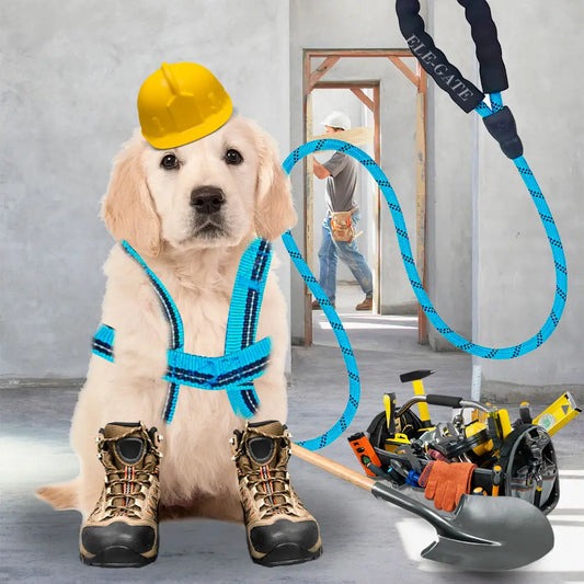 Kit de Arnés y Correa para Perros. Mascotas medianas