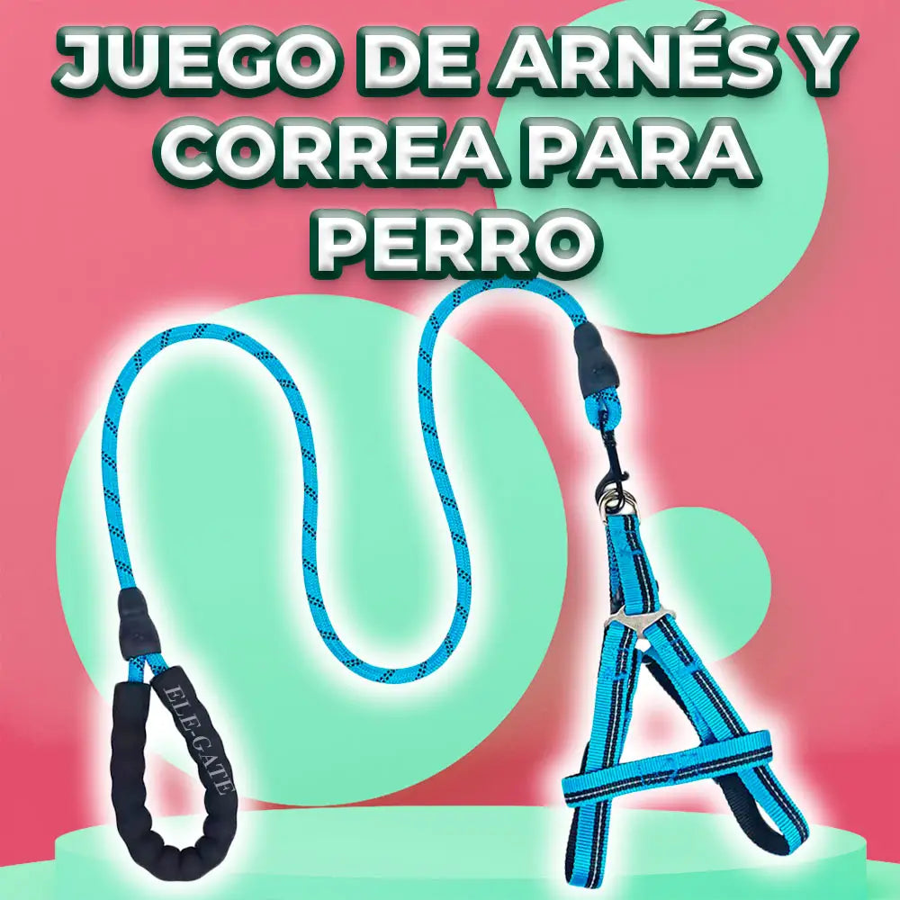 Kit de Arnés y Correa para Perros. Mascotas medianas