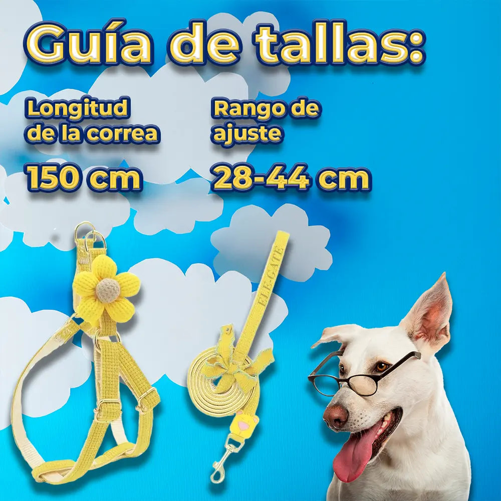 Correa y Arnés para Gatos y Perros Pequeños