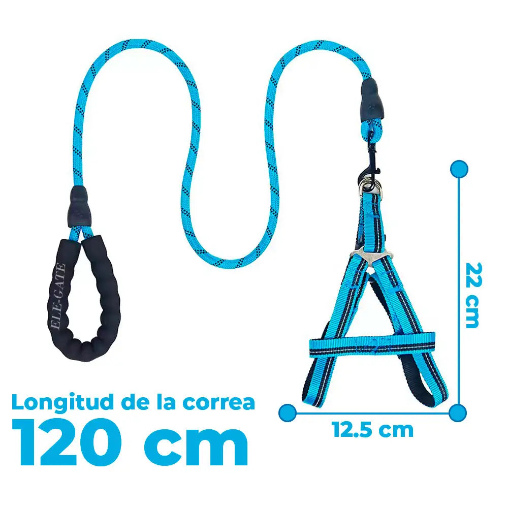 Kit de Arnés y Correa para Perros. Mascotas medianas
