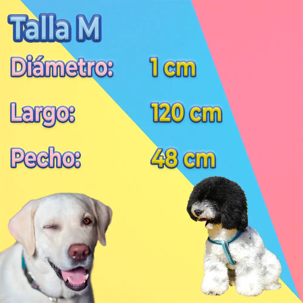 Kit de Arnés y Correa para Perros. Mascotas medianas
