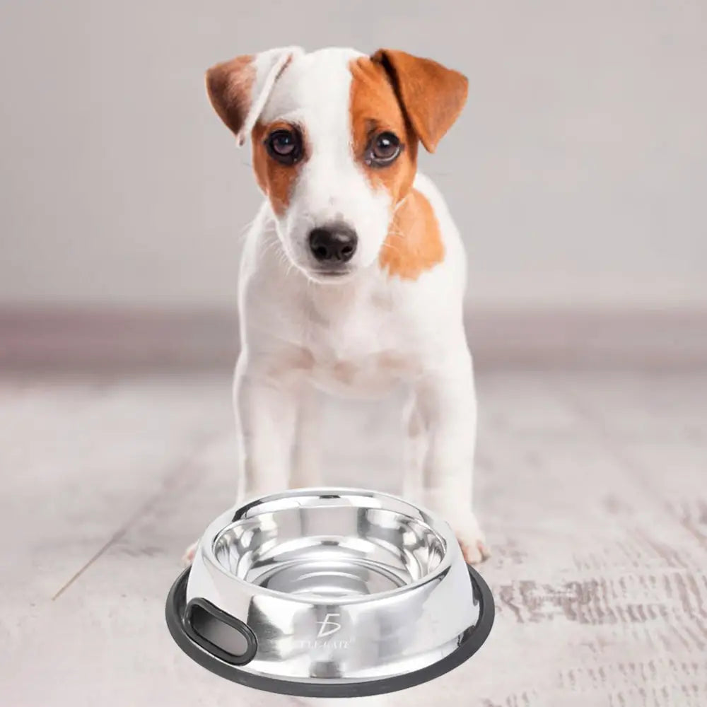 Platon para Mascotas de Acero Inoxidable Antideslizantes para Perros y Gatos Talla S