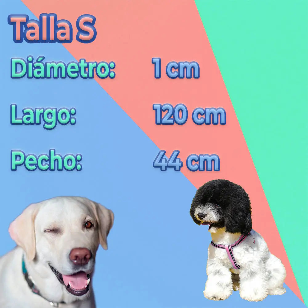Conjunto de Arnés y Correa para Perros - Comodidad y Seguridad