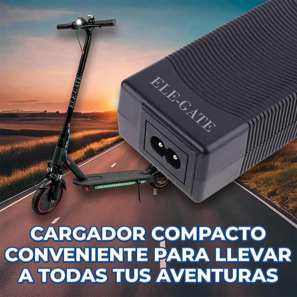 Cargador Patineta Electrica 42V 1.5AScooter Smart Balance