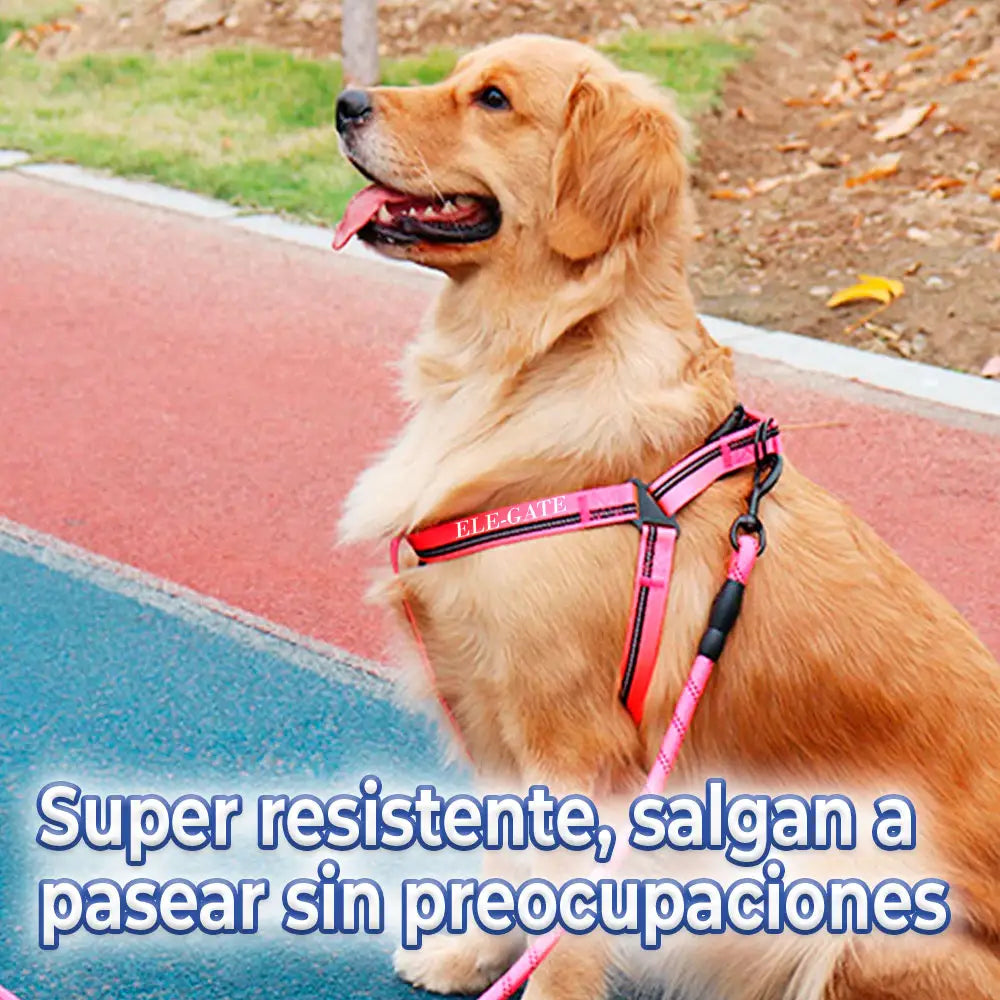 Conjunto de Arnés y Correa para Perros - Comodidad y Seguridad