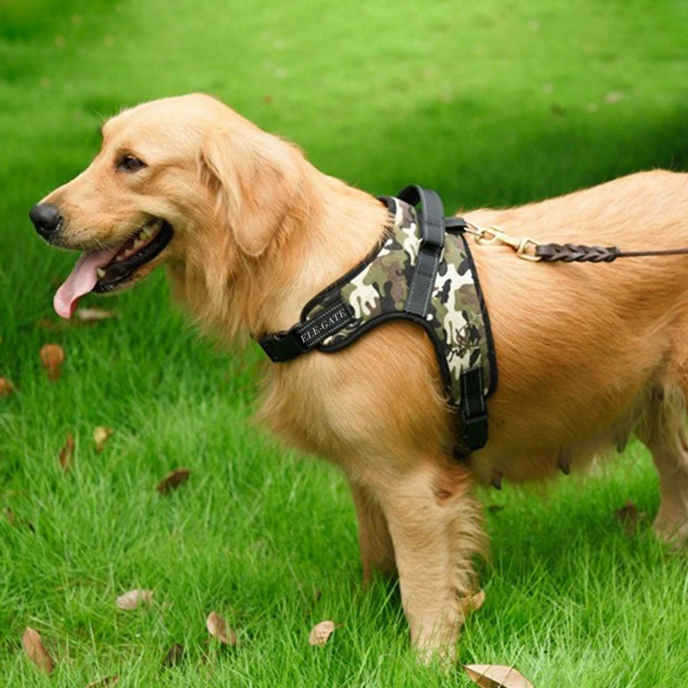 Pechera para perros grandes talla L