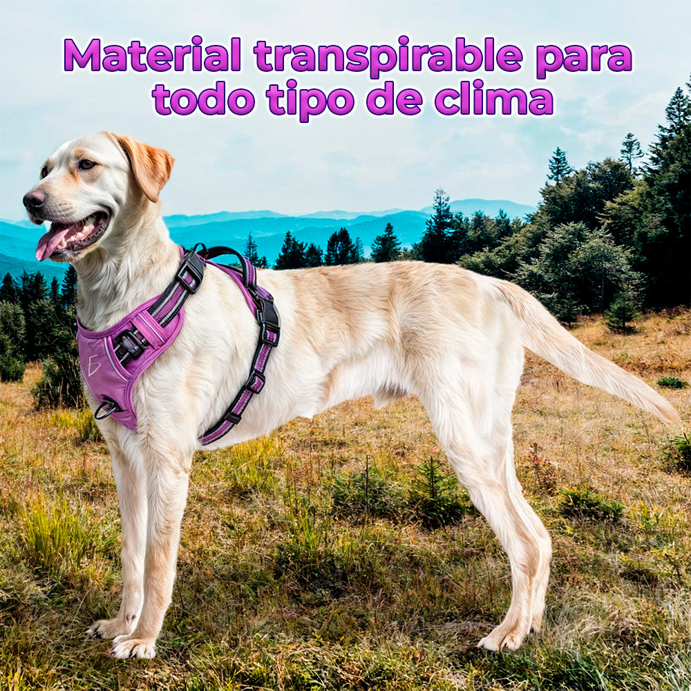 Arnés para perro cómodo y ajustable con asa y chaleco reflejante M