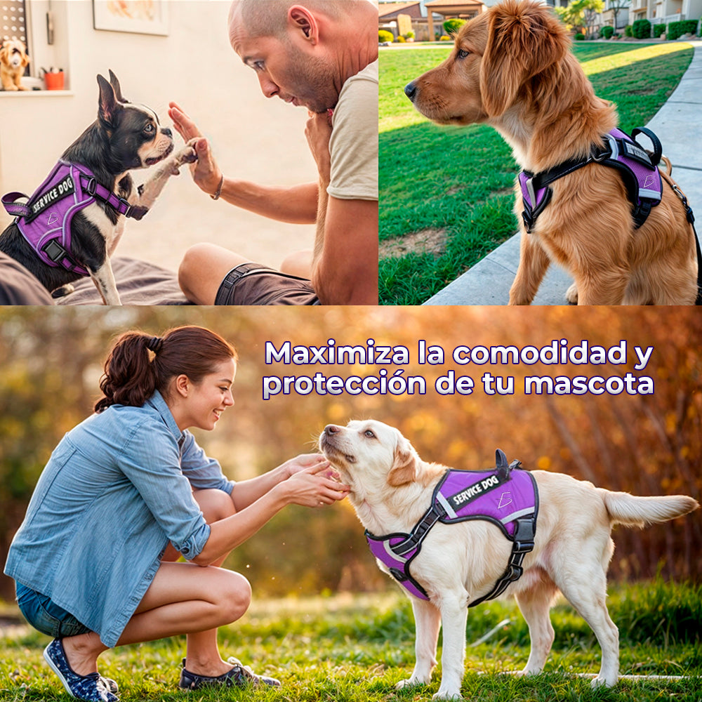Arnés para perro cómodo y ajustable con asa y chaleco reflejante M