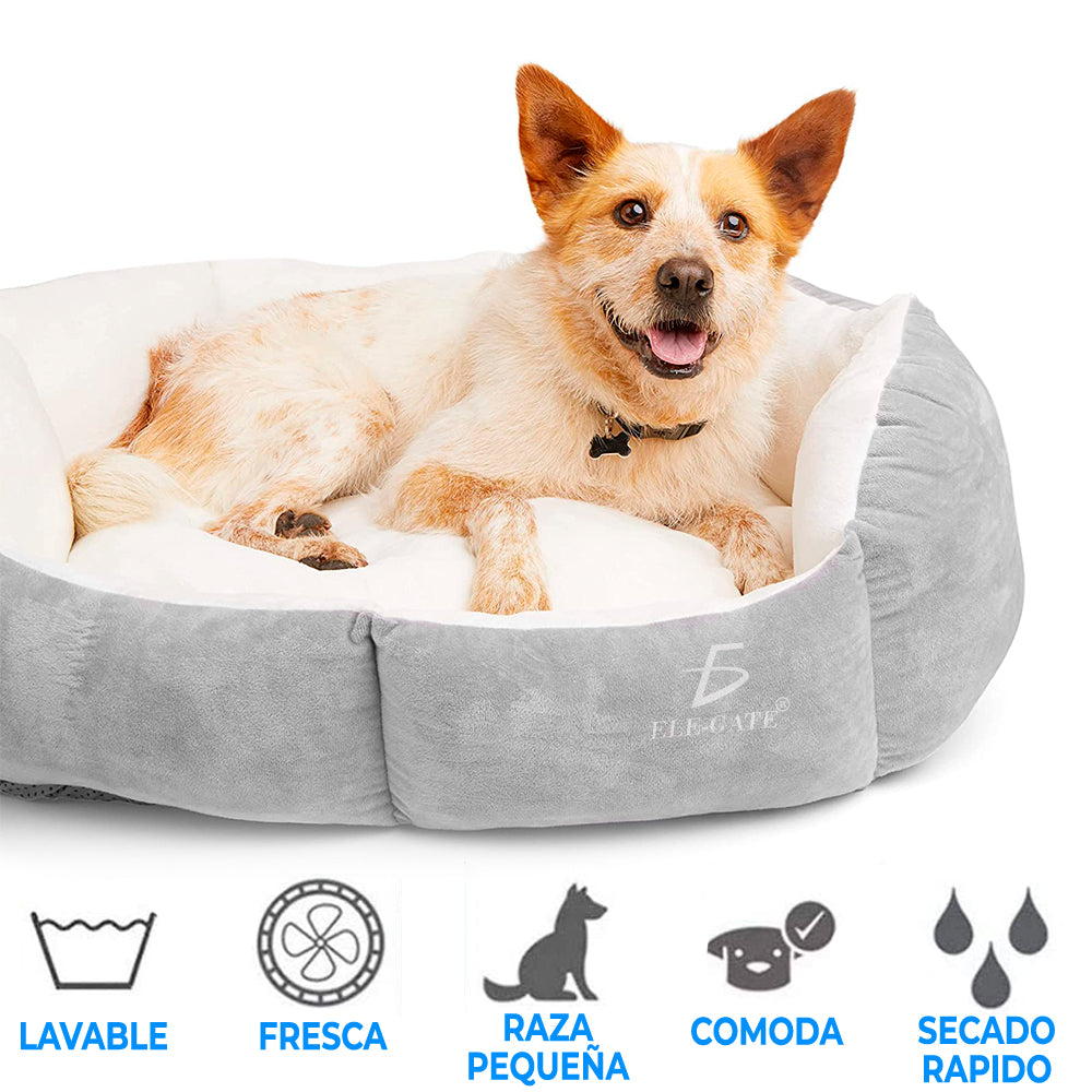 Cama Mediana Para Mascota Perro Gato Acolchonada Resistente